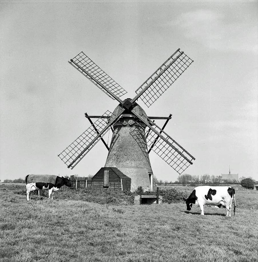 Molen 00078 Polder Kamphuizen, Hoop Doet Leven (Rijnsburg), Foto coll. B. Caarten | Database Nederlandse molens