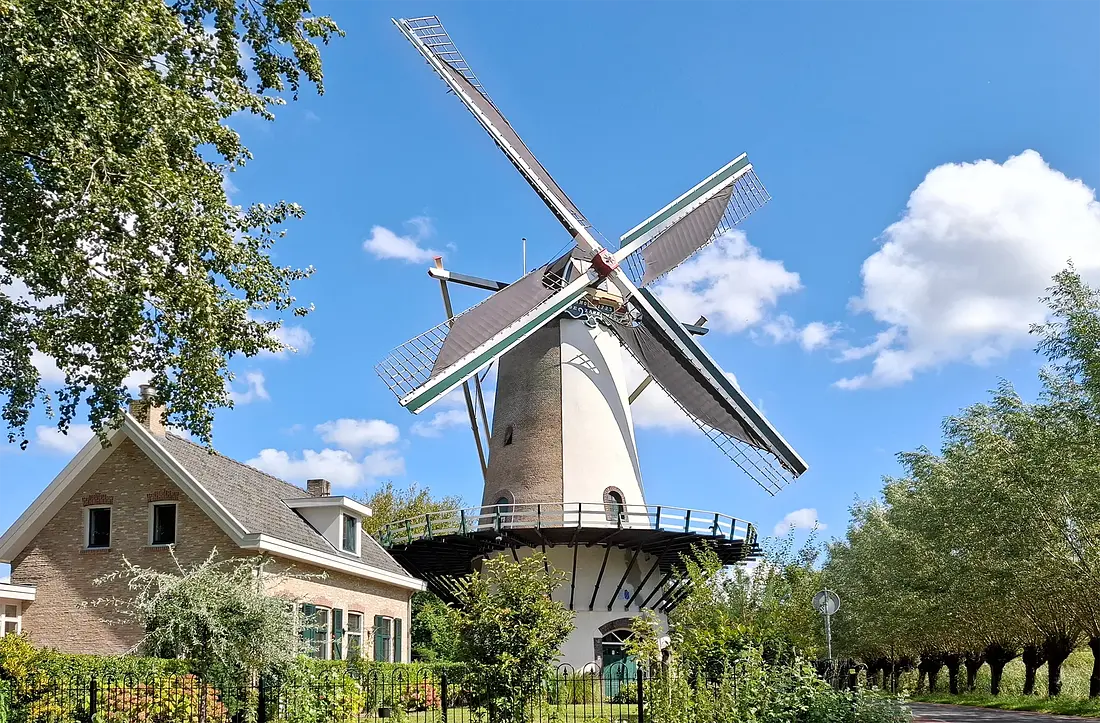 1, Molen 03611 De Zandweg (Rotterdam), Jesse in 't Veld (25-08-2024)&nbsp;Overzicht van molen en molenaarshuis vanuit het westen. | Database Nederlandse molens