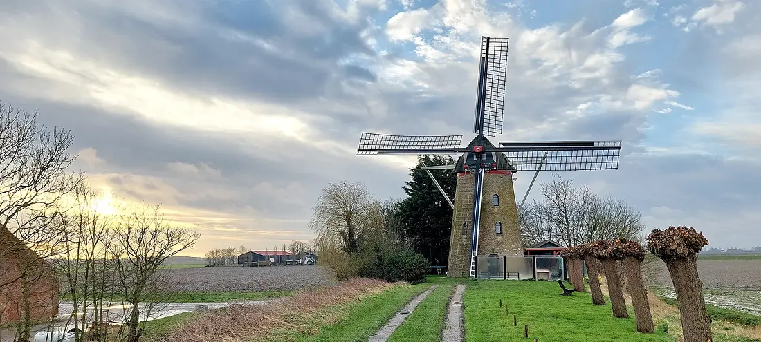 1, Molen 03543 Landzigt (Wissenkerke), Ruud Egberts (22-02-2024)&nbsp; | Database Nederlandse molens