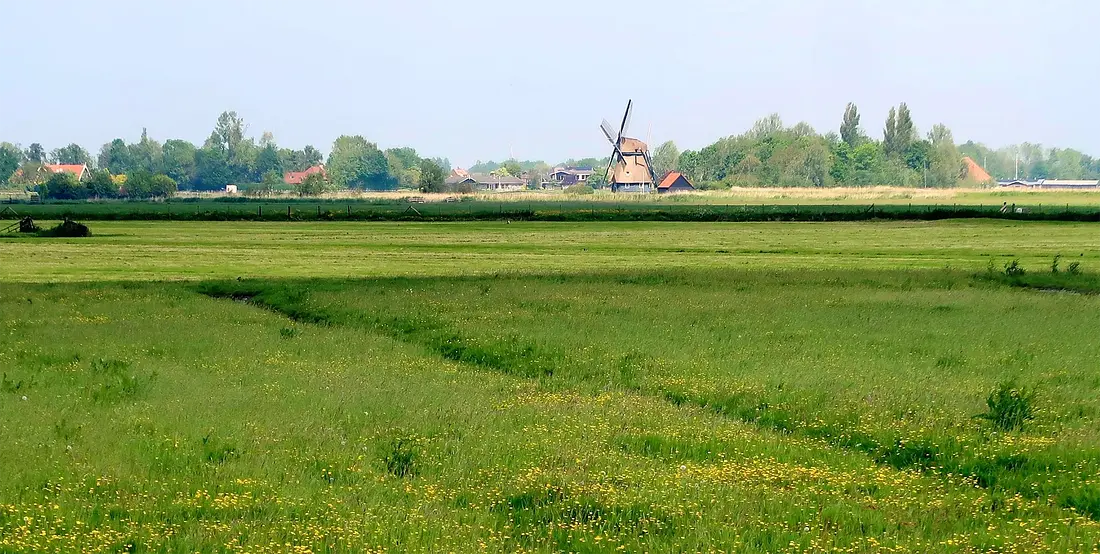2, Molen 00033 Dorregeester molen (Uitgeest), Jaap Kamphuis &nbsp;(13-05-2024)&nbsp;Goed te zien is de biotoop en de grote landschappelijke waarde van de molen. Op de voorgrond de polder Dorregeest. | Database Nederlandse molens
