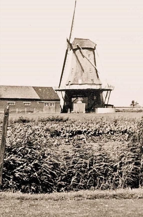 1, Molen 03222 De Rooseboom /De Rozenboom (Hantum), coll. DVM | Database Nederlandse molens