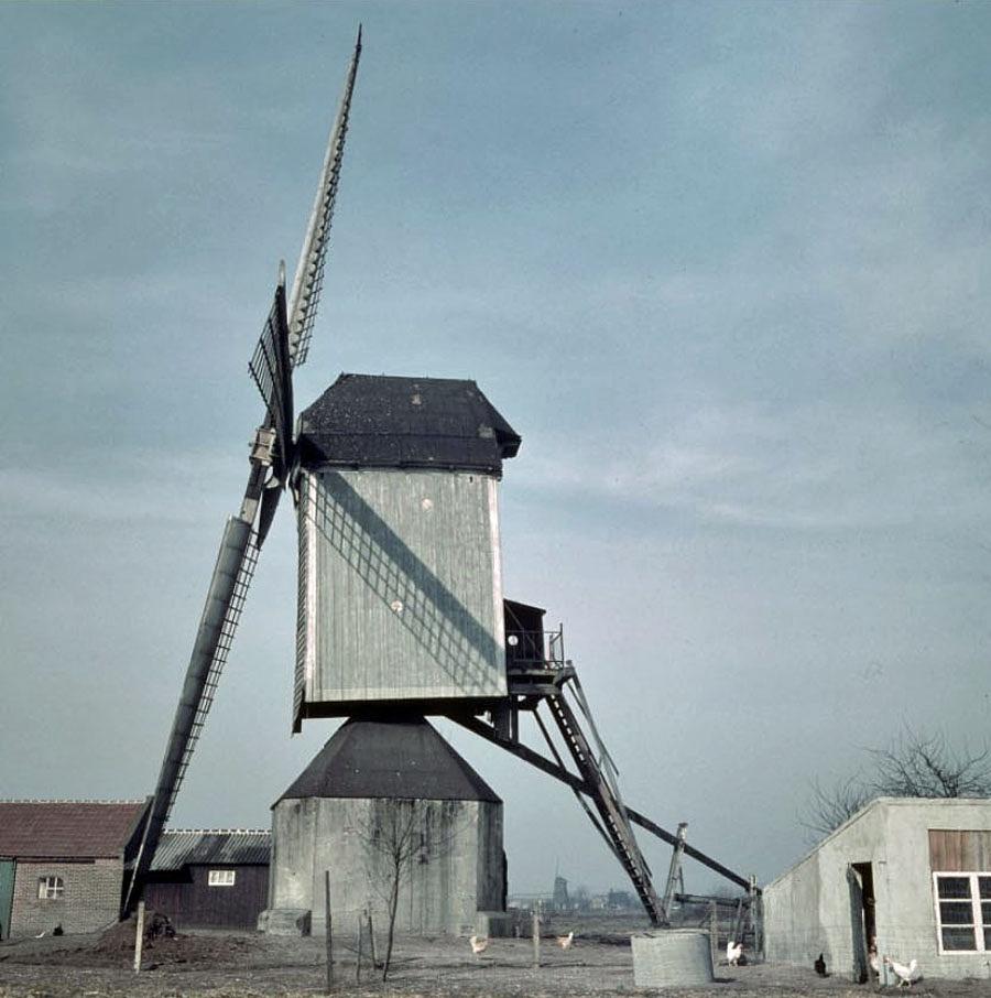 1, Molen 06400 Molen Van Dieten (2e plek) (Volkel),  | Database Nederlandse molens