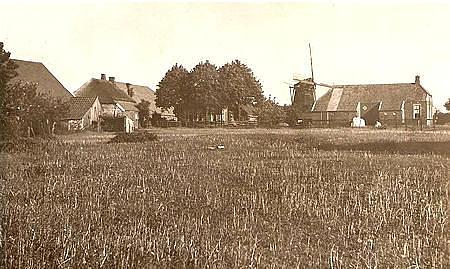 1, Molen 04416 Molen van Homan / Molen van Bos (Buinen), Ansichtkaarten, coll. V. Mepschen | Database Nederlandse molens