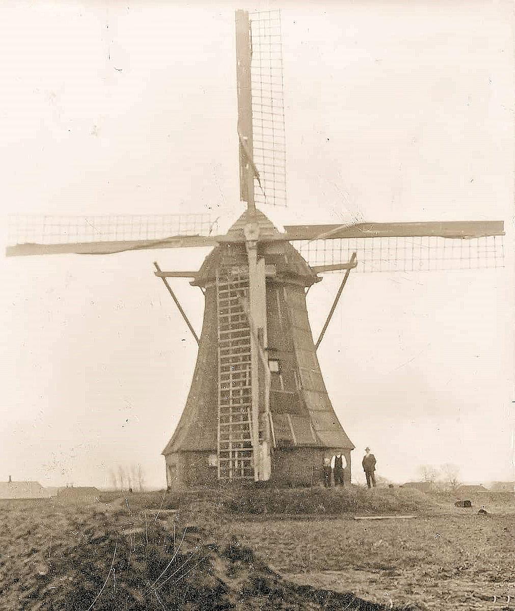 Molen 04416 Molen van Homan / Molen van Bos (Buinen), foto coll. DVM | Database Nederlandse molens