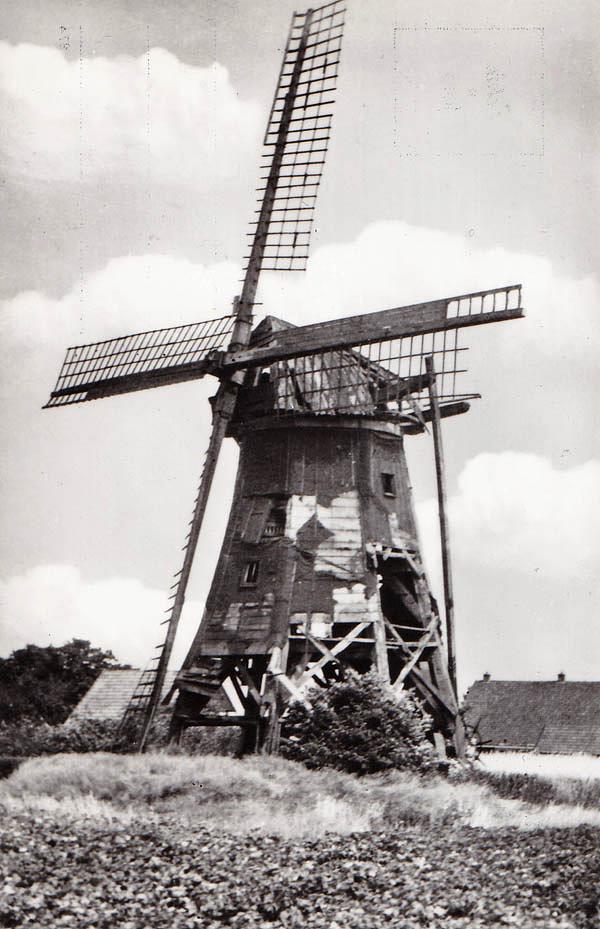 1, Molen 04416 Molen van Homan / Molen van Bos (Buinen), Ansichtkaart, serie 31 nr 3, Foto W.O. Bakker, coll. DVM | Database Nederlandse molens