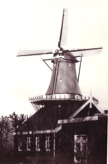 Molen 10219 Windlust (Zoeterwoude), Foto: collectie DVM, opname 1981 | Database Nederlandse molens