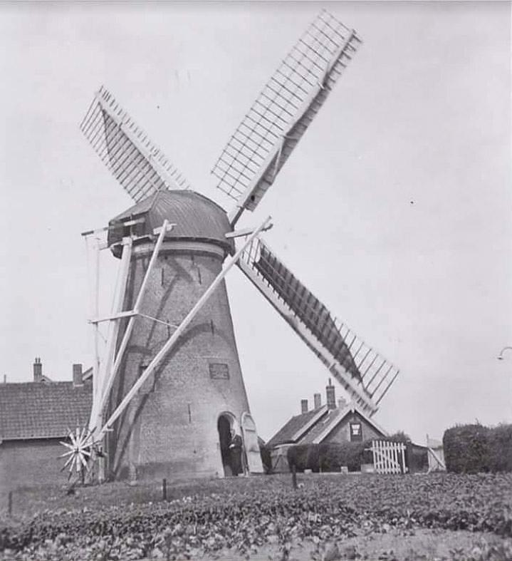 5, Molen 02766 De Kersenboom (Rijsoord), Foto collectie DVM | Database Nederlandse molens