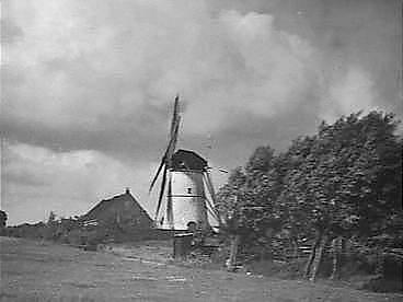 2, Molen 03608 De Greupmolen (Westmaas), foto coll. N. de Groot | Database Nederlandse molens