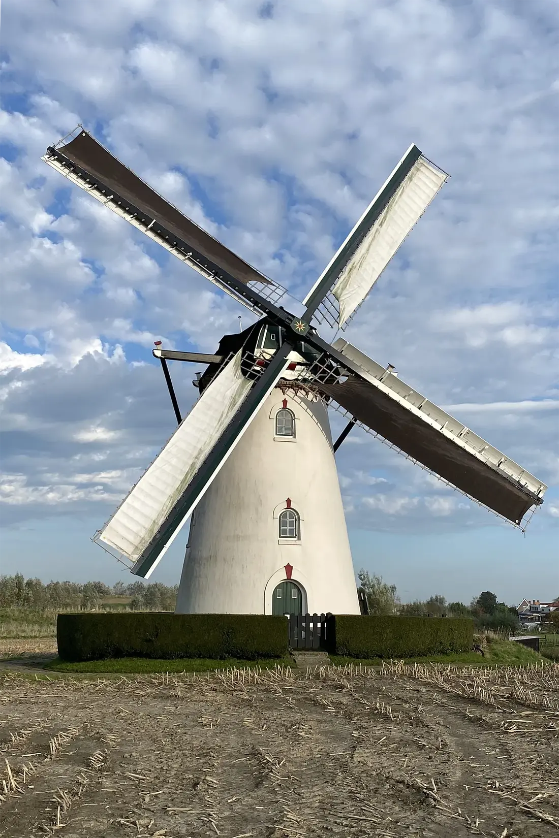 Molen 03560 Buiten Verwachting (Nieuw- en St. Joosland), Jauke Schmetz (25-10-2024) Molen alweer een jaar volop draaiend met het nieuwe gevlucht. | Database Nederlandse molens