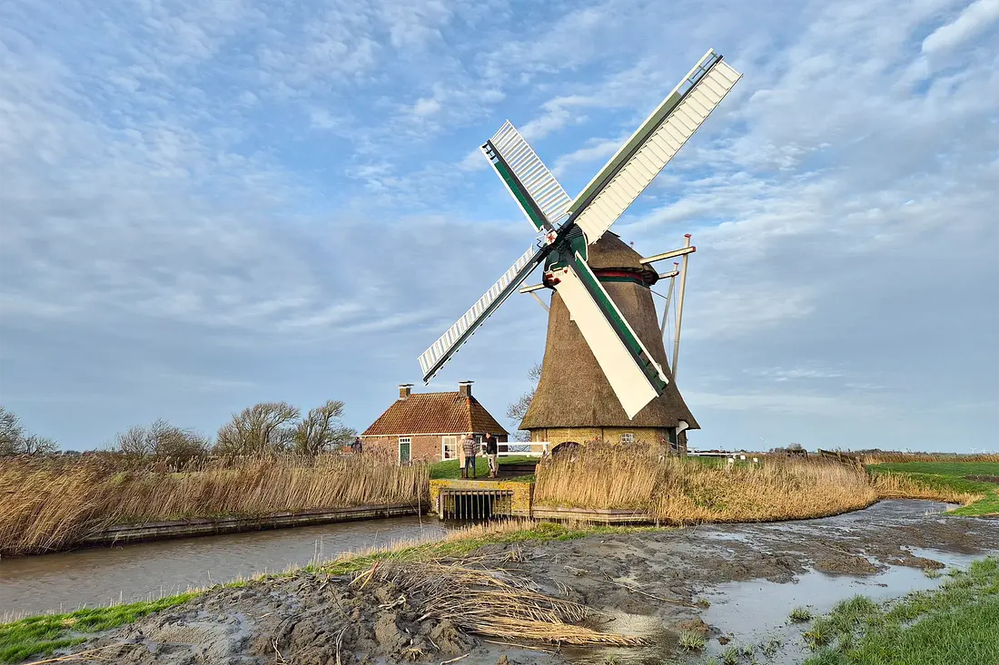 2, Molen 03179 Marswâl / Meerswal (Lollum), Martijn Scholtens (24-11-2024)&nbsp; | Database Nederlandse molens