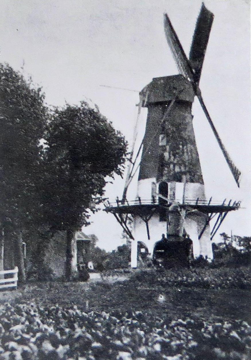3, Molen 04415 b Beins' Molen / Molen van Snater / Molen van Graver (Borger), Afb. collectie DVM | Database Nederlandse molens