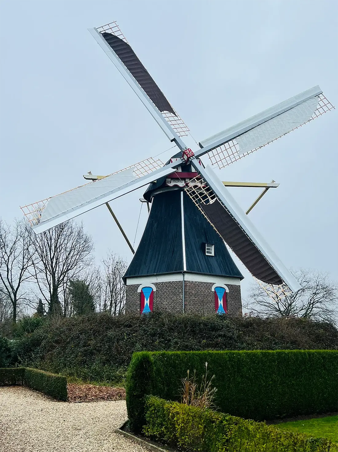 Molen 01967 Mariamolen (Haps), Vincent Claessens (14-12-2024)&nbsp;De molen voor het eerst draaiend na de reconstructie van de toestand zoals deze in de jaren ‘50 en ‘60 bestond (dus met Van Busselneuzen en glimmende strepen op de hoeken. | Database Nederlandse molens