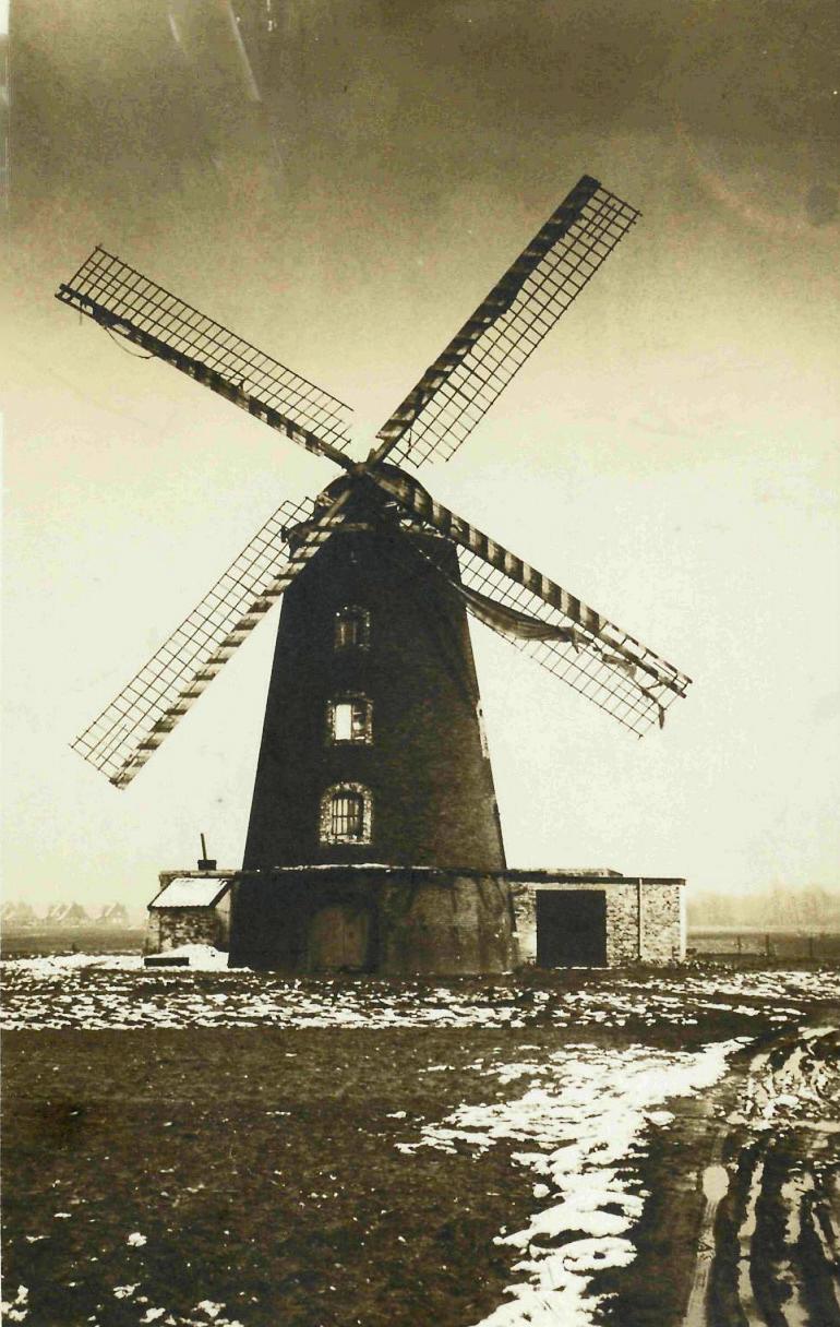 Molen 00194 Windmolen Op de Linde (Stein), Ansichtkaart, collectie DHM | Database Nederlandse molens