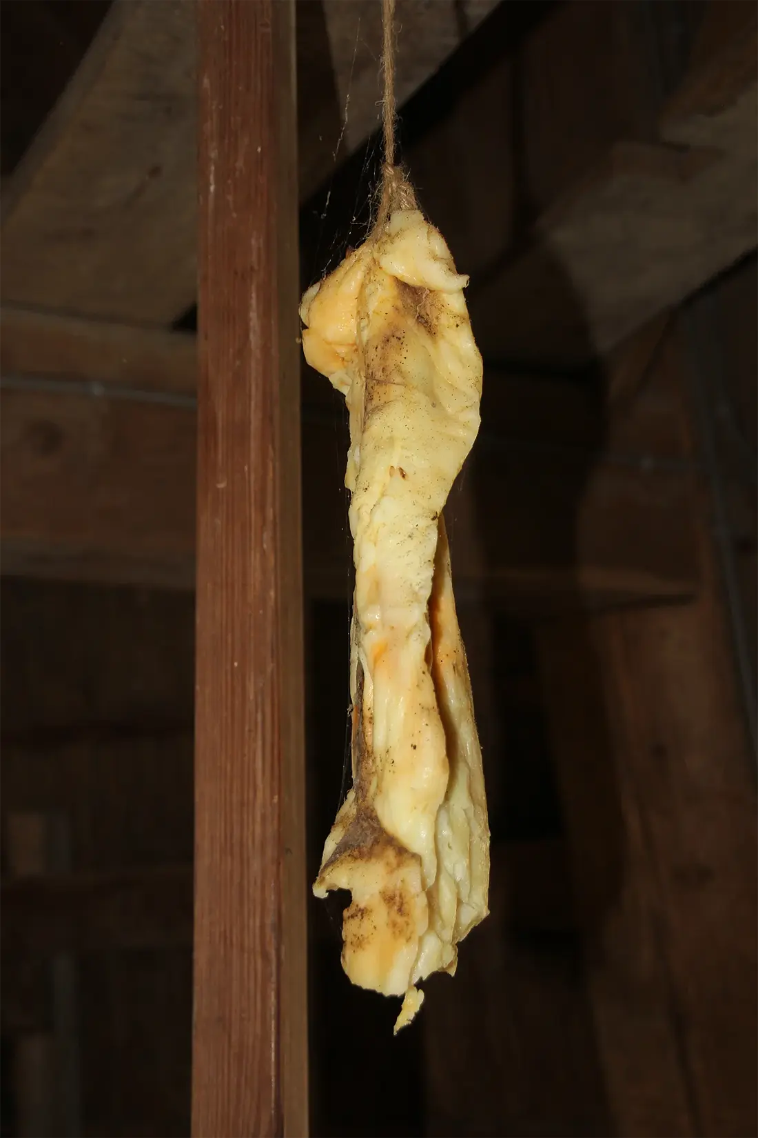 26, Molen 00402 De Warkense Molen (Warnsveld), Dik Loman (10-08-2024)&nbsp;In de molen wordt gesmeerd met reuzel; hier hangt een stuk te drogen. &nbsp; | Database Nederlandse molens