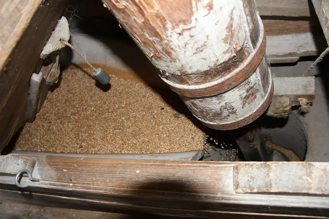 13, Molen 00402 De Warkense Molen (Warnsveld), Dik Loman (10-08-2024)&nbsp;De schuddebak laat de graankorrels in het kropgat vallen. | Database Nederlandse molens