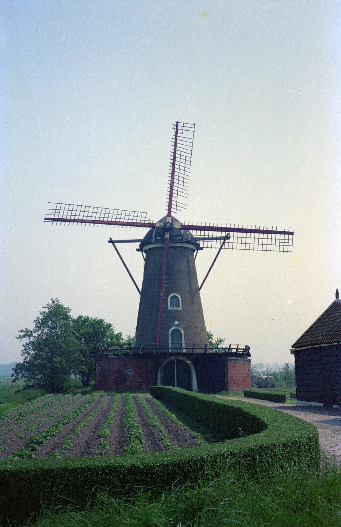1, Molen 03532 De Hoop (Sint-Maartensdijk), Foto van Jaap Doets, 28 mei 1978 | Database Nederlandse molens