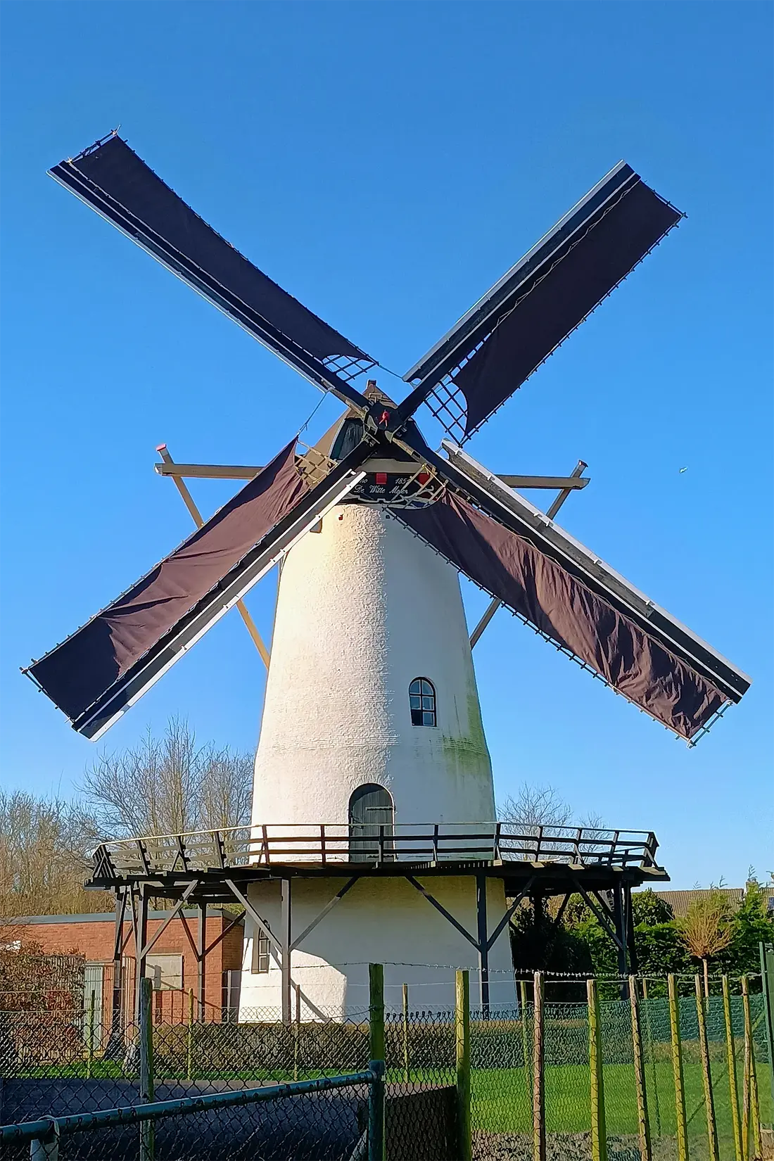 Molen 01648 De Witte Molen (Rilland-Bath), Anthony Joziasse (01-02-2025)&nbsp;De molen draaiend met nieuwe zeilen. | Database Nederlandse molens