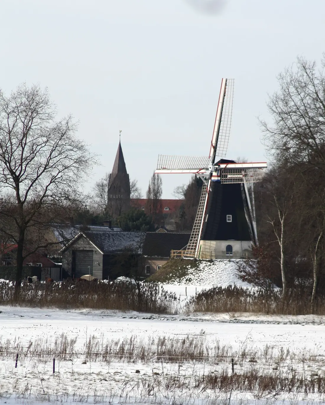 4, Molen 06401 De Hoop (Keldonk), Tiny van den Heuvel (14-02-2021) | Database Nederlandse molens