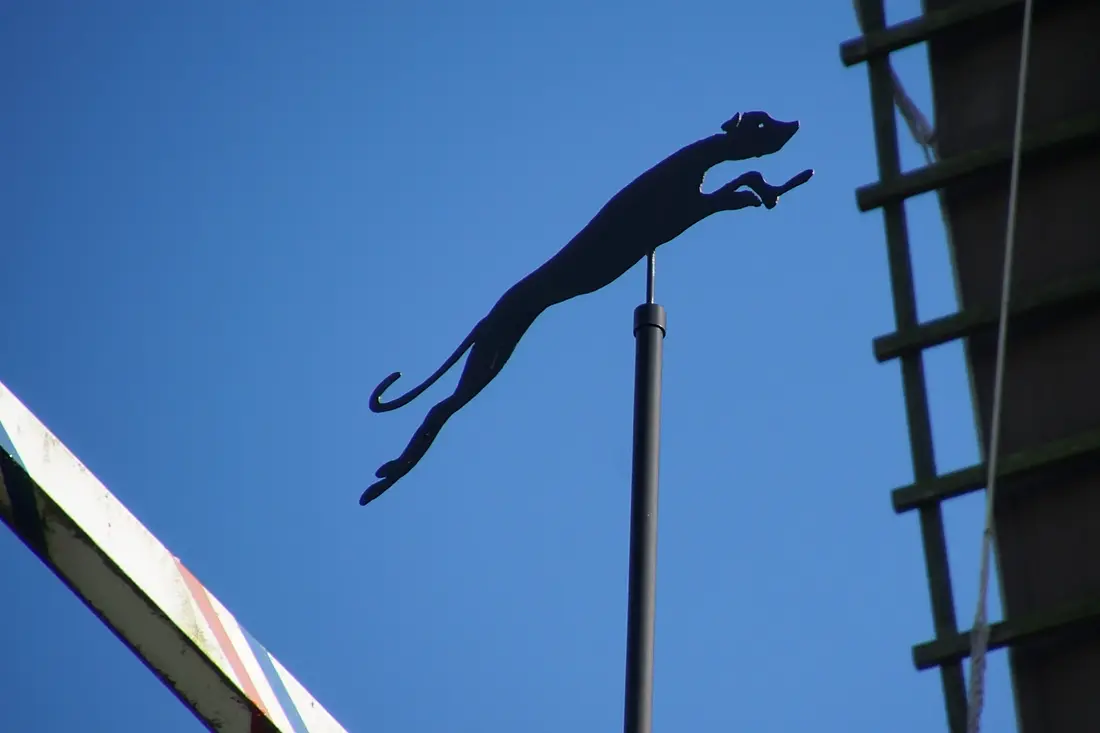 8, Molen 10211 De Windhond (Soest), Boukje van Leijen (01-02-2025)&nbsp; | Database Nederlandse molens