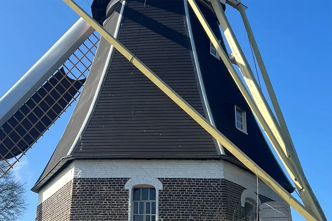 6, Molen 01967 Mariamolen (Haps), Vincent Claessens (23-02-2025)&nbsp;De horizontale beplanking van de noordelijke velden is hier duidelijk zichtbaar. | Database Nederlandse molens