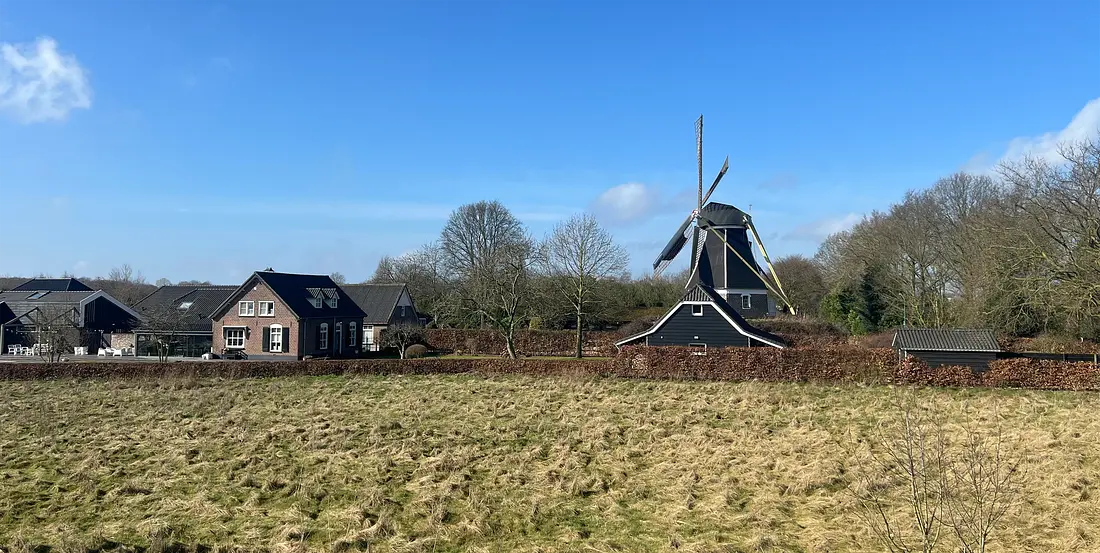 4, Molen 01967 Mariamolen (Haps), Vincent Claessens (23-02-2025)&nbsp;De molen gezien vanaf de geluidswal die onlangs rond het nieuwe industrieterrein Laarakker is aangelegd. | Database Nederlandse molens