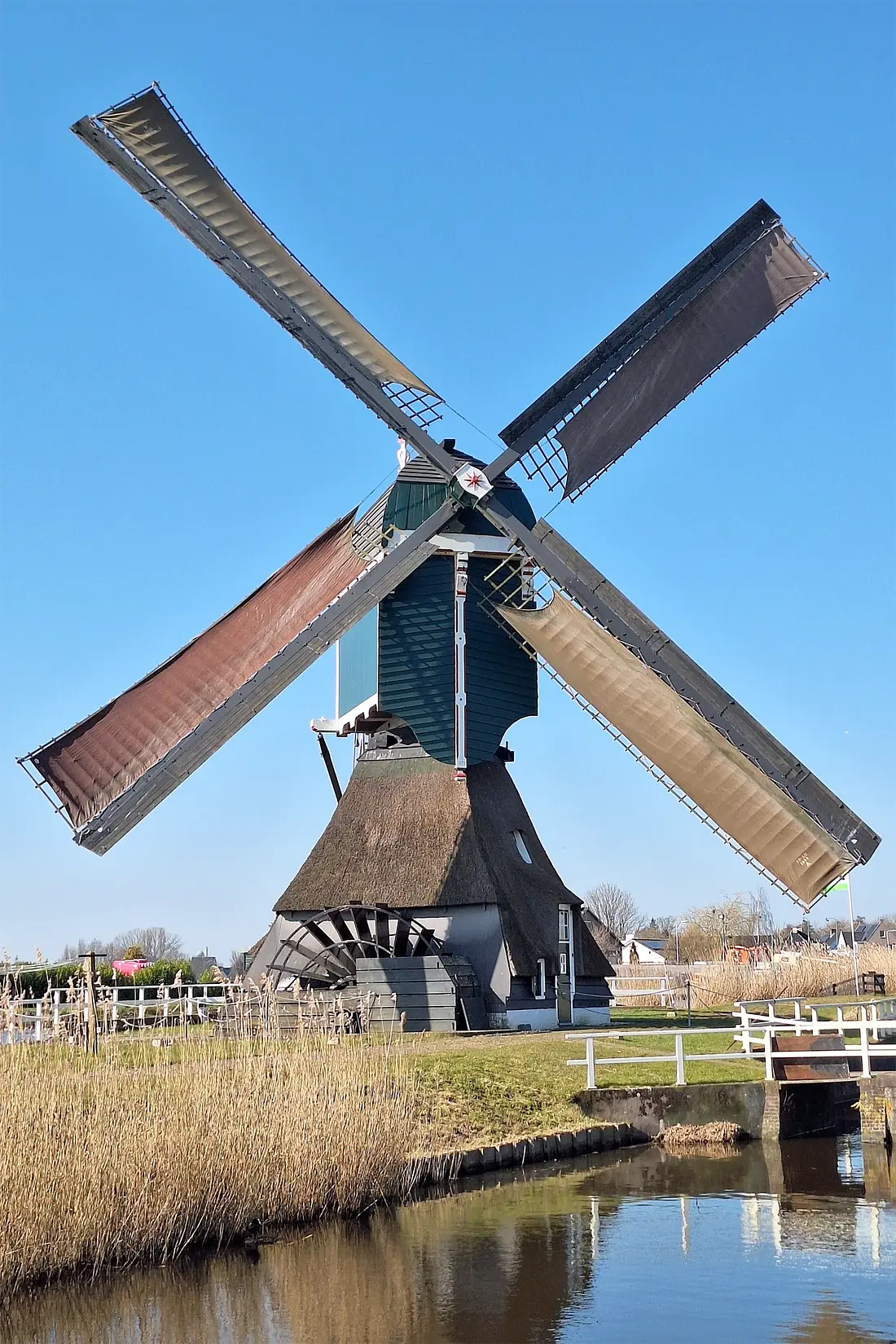 Molen 01489 Gelkenesmolen (Groot-Ammers), Jay Verkerk (08-03-2025)De molen malende tijden de eerste editie van de Alblasserwaardse molendag. | Database Nederlandse molens