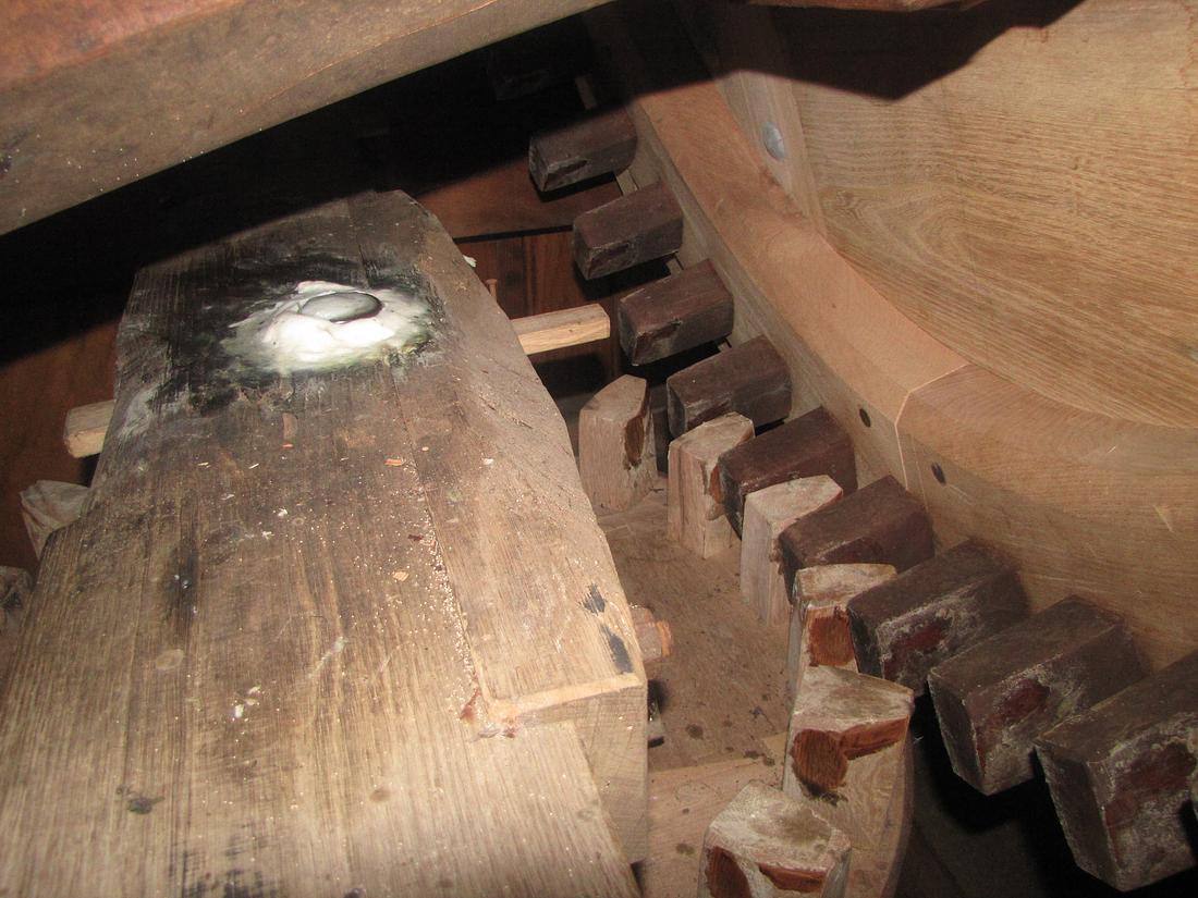 13, Molen 10684 Mellemolen (vh. Polslootpoldermolen) (Akkrum), Gijs van Reeuwijk (01-06-2017) | Database Nederlandse molens