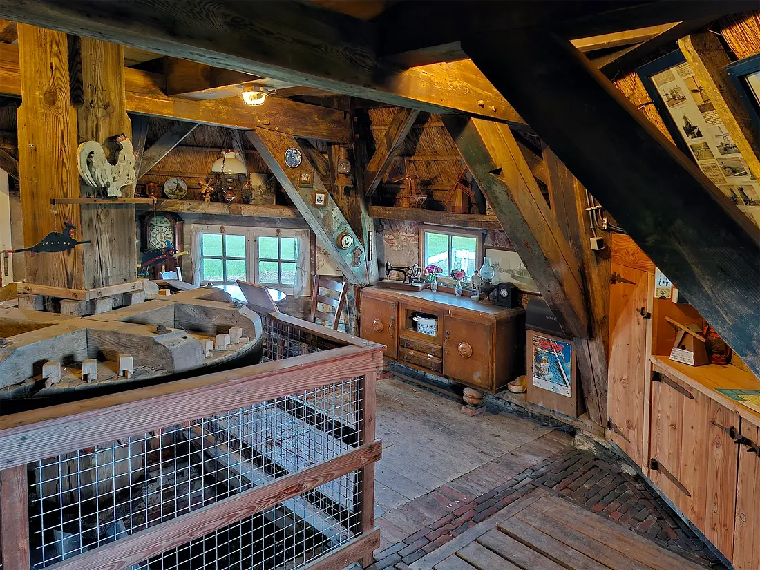 9, Molen 00475 De Eolus (Den Ham), Rob Hoving (07-10-2024)&nbsp;Zicht op wat eens de woning was. Rechts tussen de korbelen zat de dubbele bedstee. Daaronder de nog bestaande aardappelkelder.&nbsp; | Database Nederlandse molens
