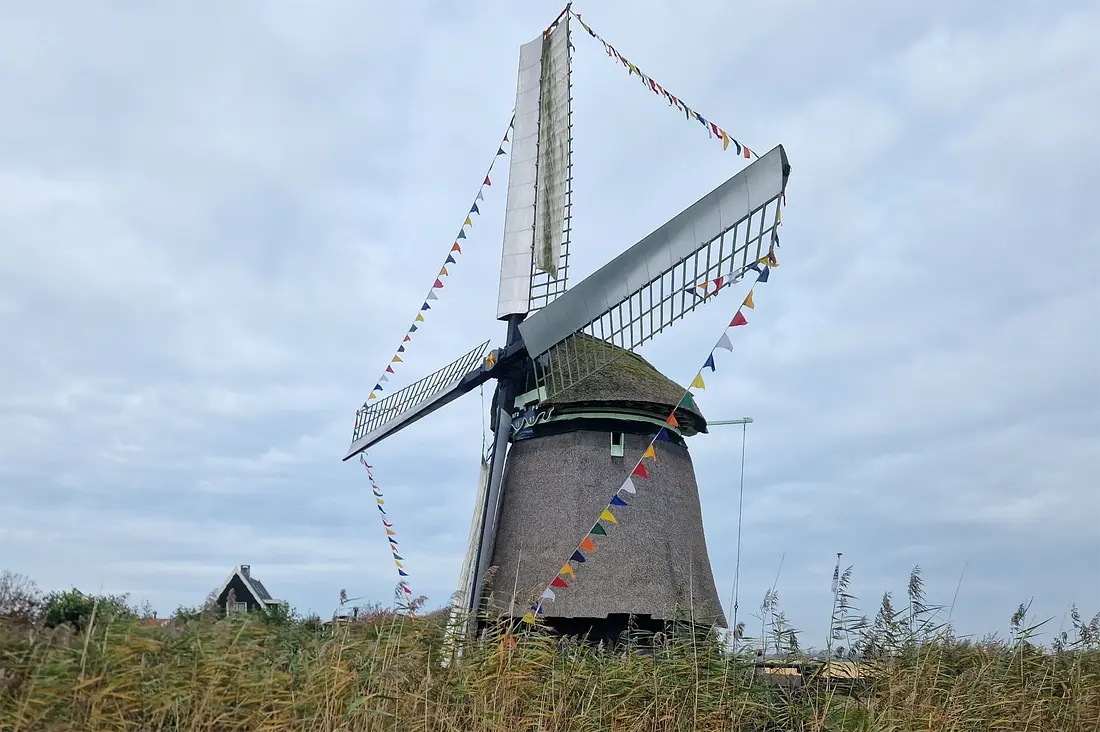 5, Molen 01641 Molen P-V ('t Zand), Milan Kats (20-10-2024)&nbsp; | Database Nederlandse molens