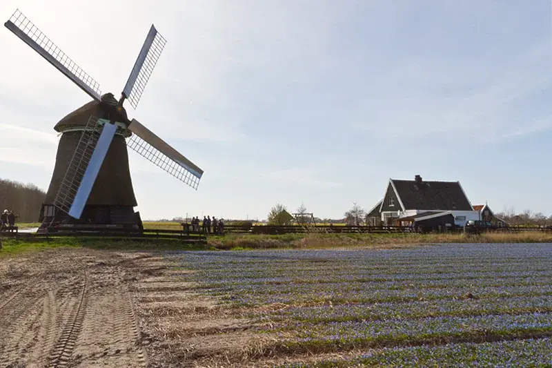 6, Molen 01641 Molen P-V ('t Zand), Edo Werkman, 09-04-2011 | Database Nederlandse molens