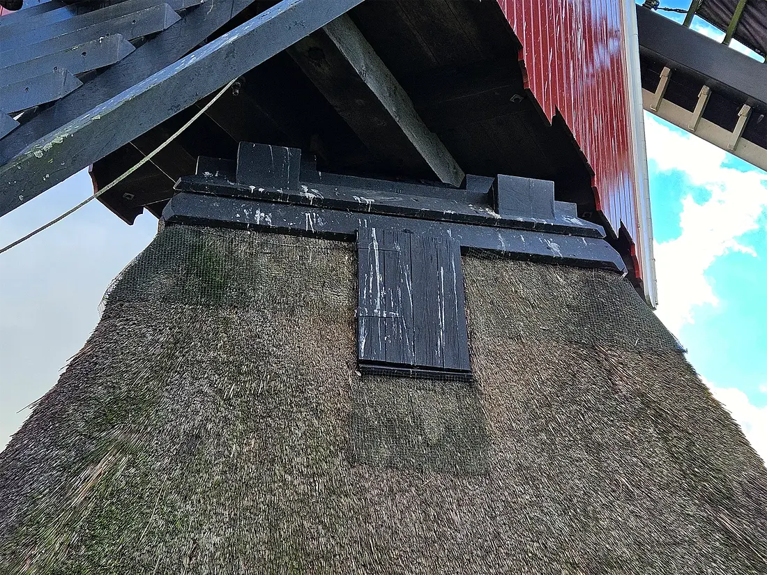 7, Molen 12220 De Kalkmolen (Hoogmade), Lukas Vandael (27-10-2024)&nbsp; | Database Nederlandse molens