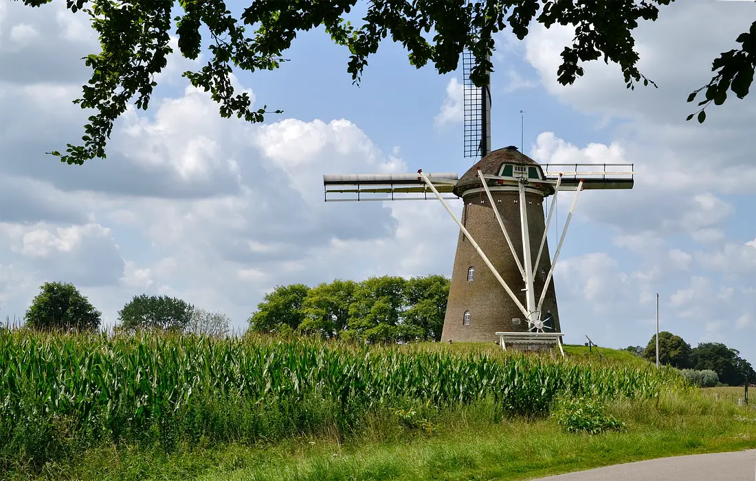 3, Molen 00392 Bronkhorstermolen (Steenderen), Rob Pols (10-08-2025)&nbsp; | Database Nederlandse molens
