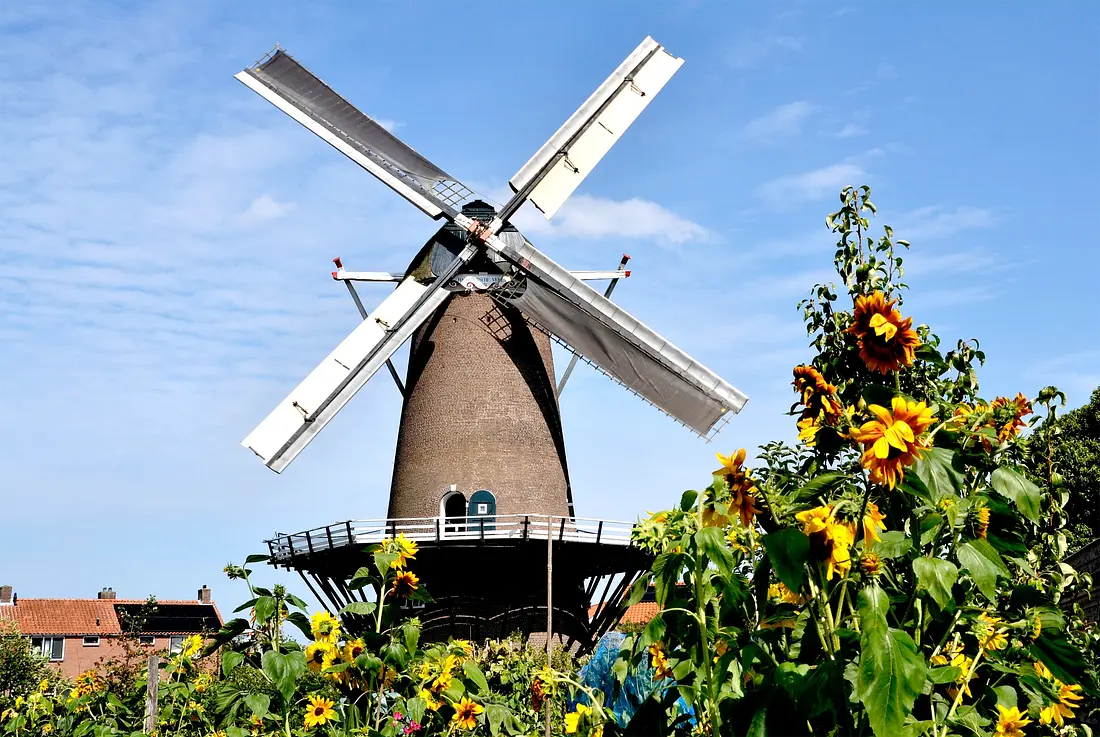 1, Molen 00909 Hackfortsche Molen / Op 't Hoge (Vorden), Rob Pols (09-08-2025)&nbsp; | Database Nederlandse molens