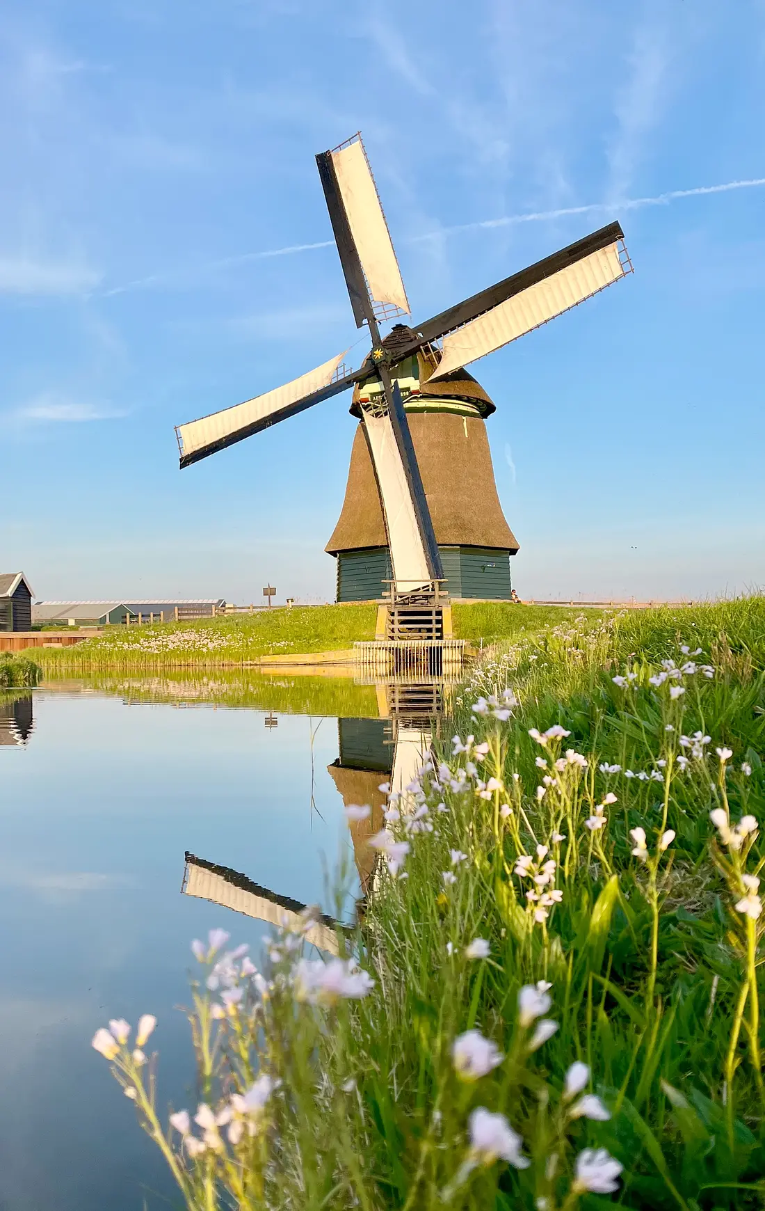 Molen 00322 Molen F (Burgerbrug), Klaas Zaal (12-07-2025)&nbsp;De molen draaiend op Noord | Database Nederlandse molens