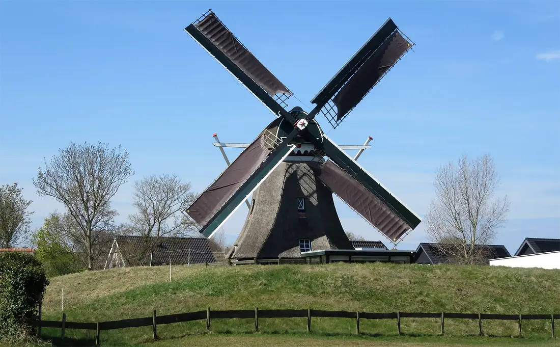1, Molen 03221 De Phenix (Nes (Ameland)), Nelly Sonneveld (15-04-2025)&nbsp;De molen draait met 4 vollen, er werd op dat moment olie geslagen. | Database Nederlandse molens