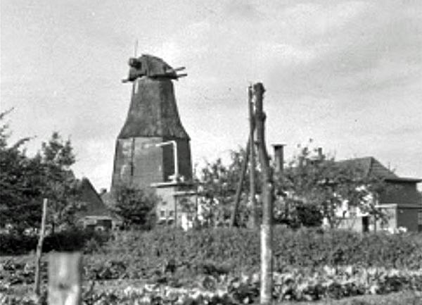 1, Molen 02752 De Volharding / Molen van de Alg. Centr. Bankver. v /d Middenstand te Amsterdam (Beilen), Foto coll. DHM&nbsp; | Database Nederlandse molens