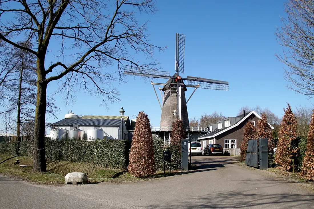 1, Molen 02621 Sara Catharina (Kerkdriel), Boukje van Leijen (19-03-2025)&nbsp; | Database Nederlandse molens