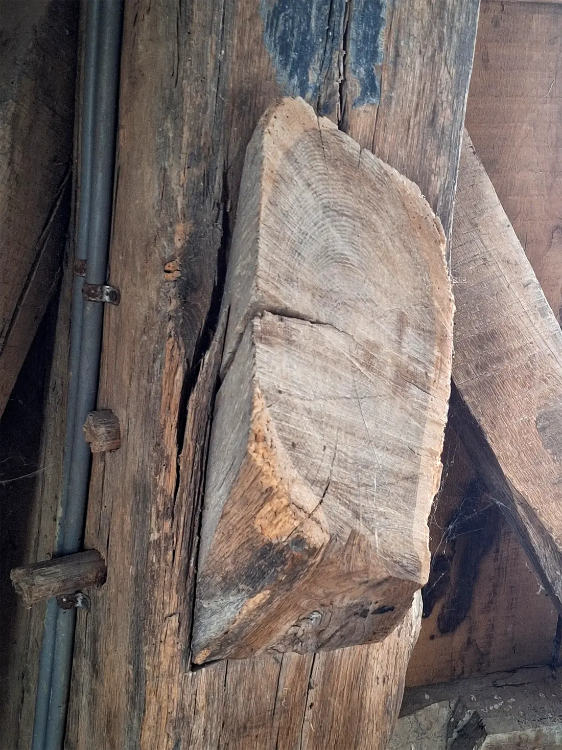 24, Molen 03114 Teunismolen (Dinxperlo - De Heurne), Jay Verkerk (24-05-2025)&nbsp;Een korbeel die moest wijken voor de grote mengketel. | Database Nederlandse molens
