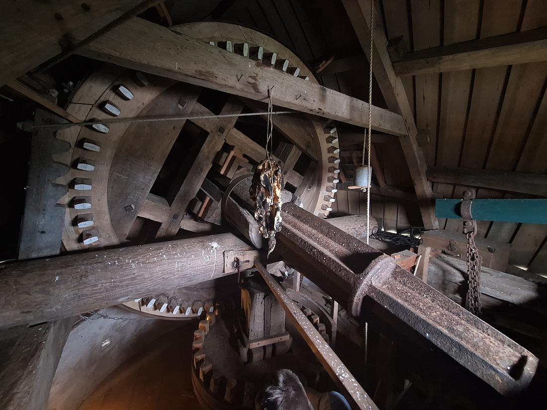 13, Molen 03538 Nooit Gedacht / De Nieuwe Molen (Colijnsplaat), Jay Verkerk (31-05-2025)&nbsp; | Database Nederlandse molens