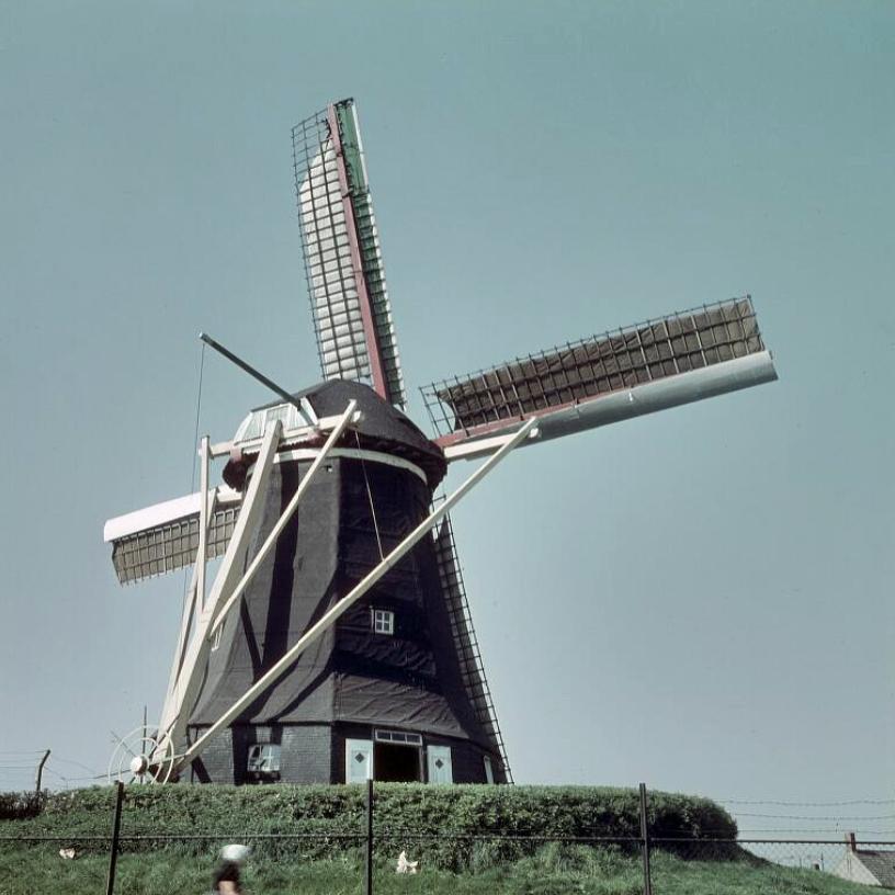 Molen 01659 Nooit Gedacht / De Nijverheid (Arnemuiden), Dia, juli 1961, collectie RCE: Documentnummer 405.446 | Database Nederlandse molens