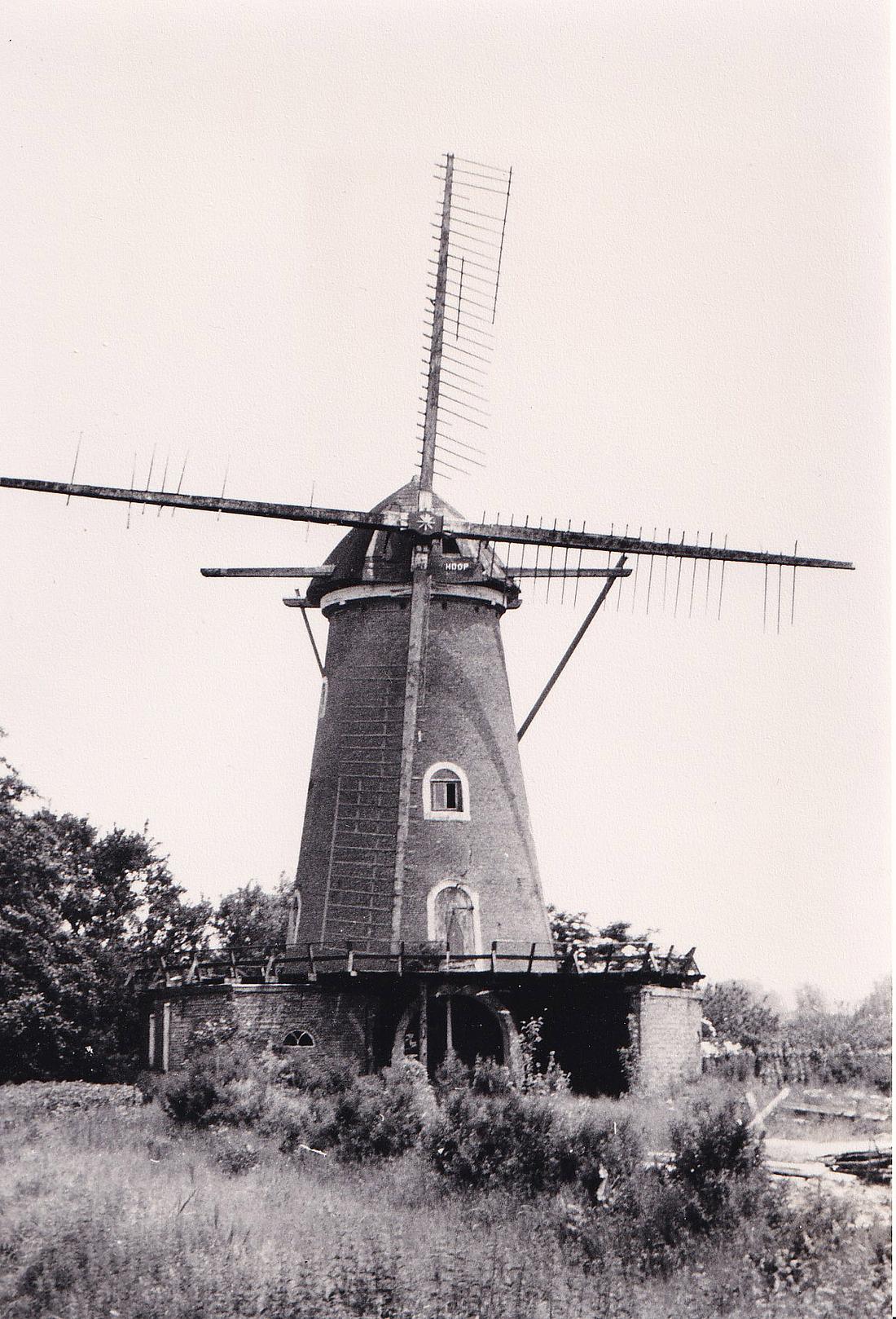 6, Molen 03532 De Hoop (Sint-Maartensdijk), Foto P. Grund, juni 1984 | Database Nederlandse molens