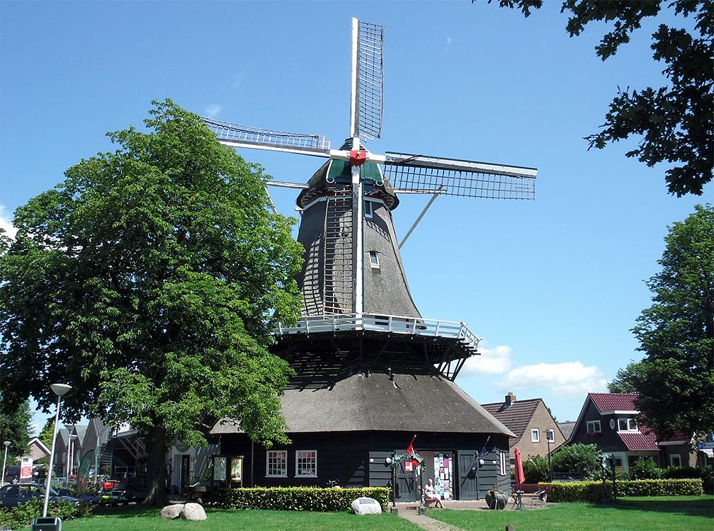 1, Molen 02632 De Wieker Meule (De Wijk), Erwin de Jonge (23-7-2015)De witte stukken zijn weer aangebracht bij de askop, zoals het vroeger ook was | Database Nederlandse molens
