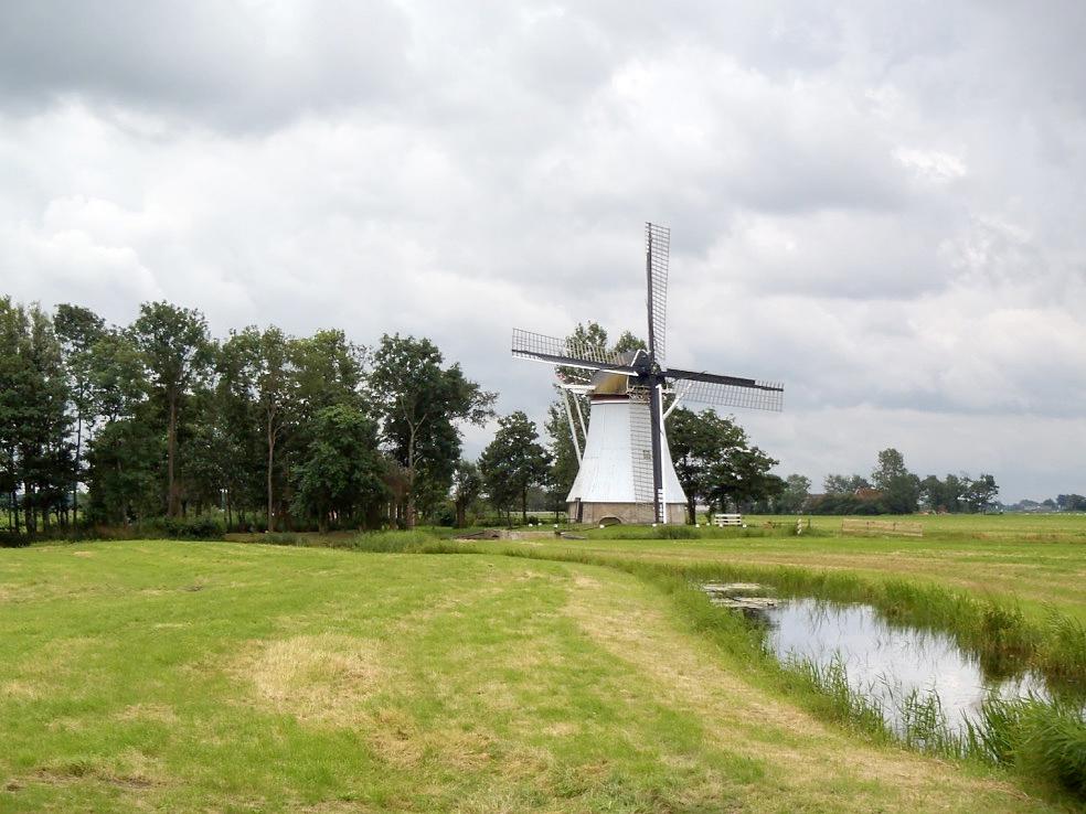 1, Molen 03050 De Olifant (Birdaard / Burdaard), JG Borst (31-7-2012) | Database Nederlandse molens