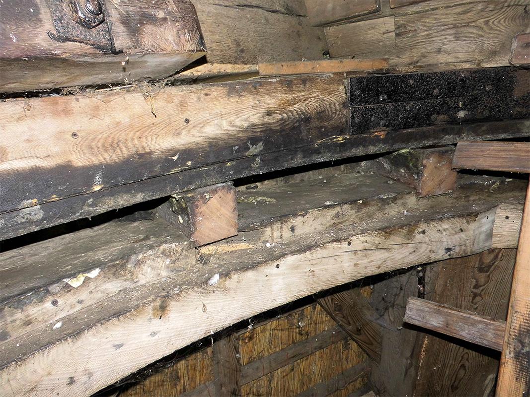 11, Molen 01438 Lonjé / Tadema's Molen (Bolsward / Boalsert ), Coen Manche (24-11-2019) | Database Nederlandse molens