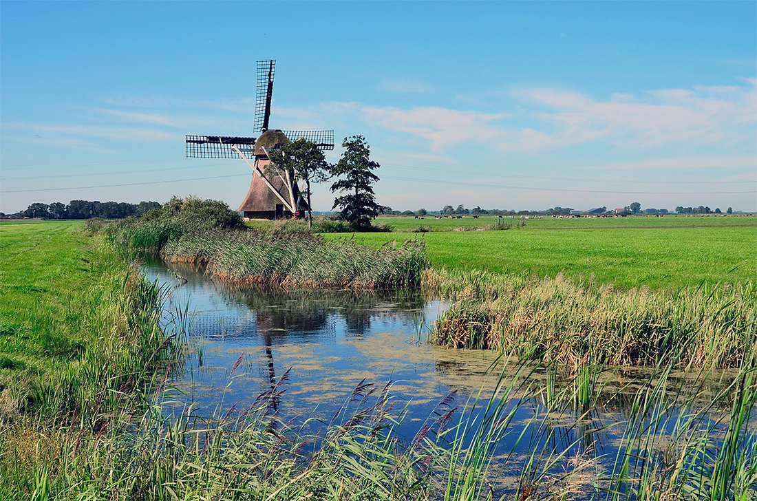 4, Molen 03071 De Broekmolen / Broekpoldermûne ( Broeksterwoude / Broeksterwâld), Bernd Käding (24-8-2016) | Database Nederlandse molens