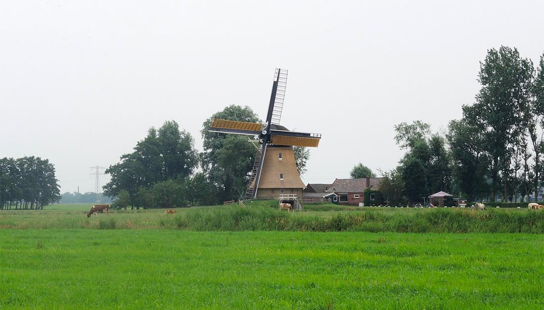 1, Molen 03074 Grutte Mûne / De Grote Molen ( Broeksterwoude / Broeksterwâld), JG Borst (24-7-2015) | Database Nederlandse molens