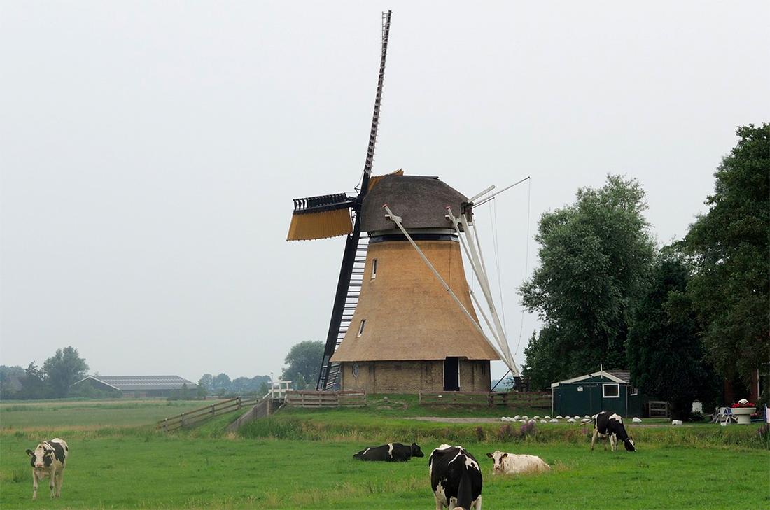 2, Molen 03074 Grutte Mûne / De Grote Molen ( Broeksterwoude / Broeksterwâld), JG Borst (24-7-2015) | Database Nederlandse molens
