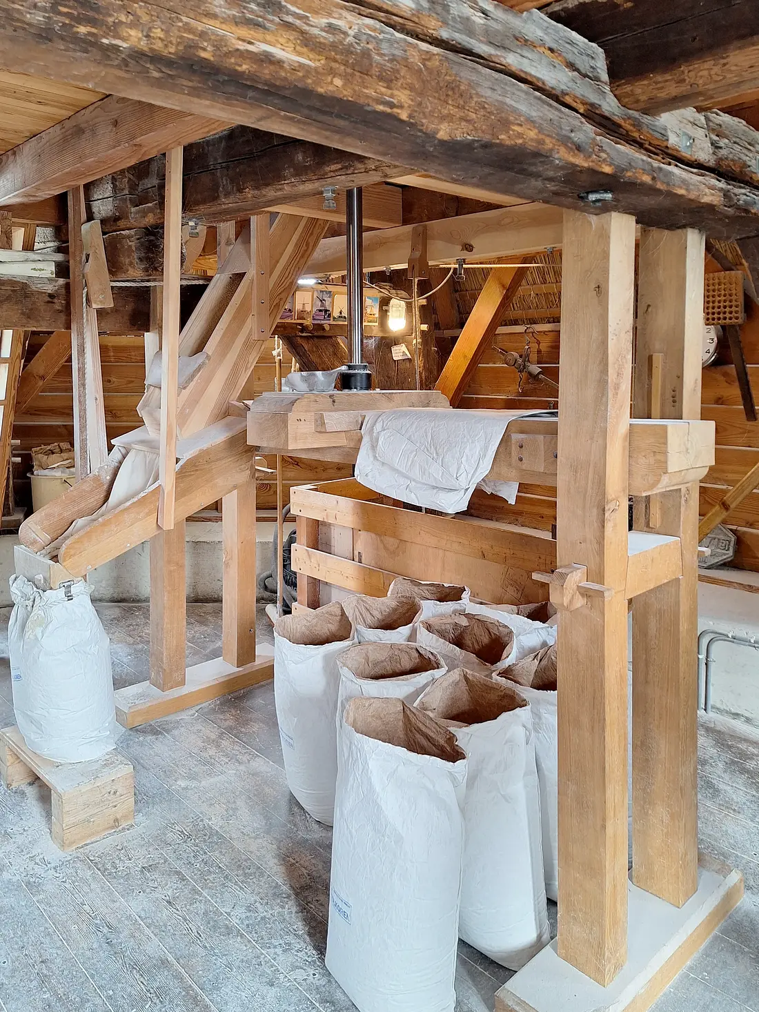 15, Molen 12582 De Weert (Meppel), Jay Verkerk (23-08-2025)&nbsp; | Database Nederlandse molens