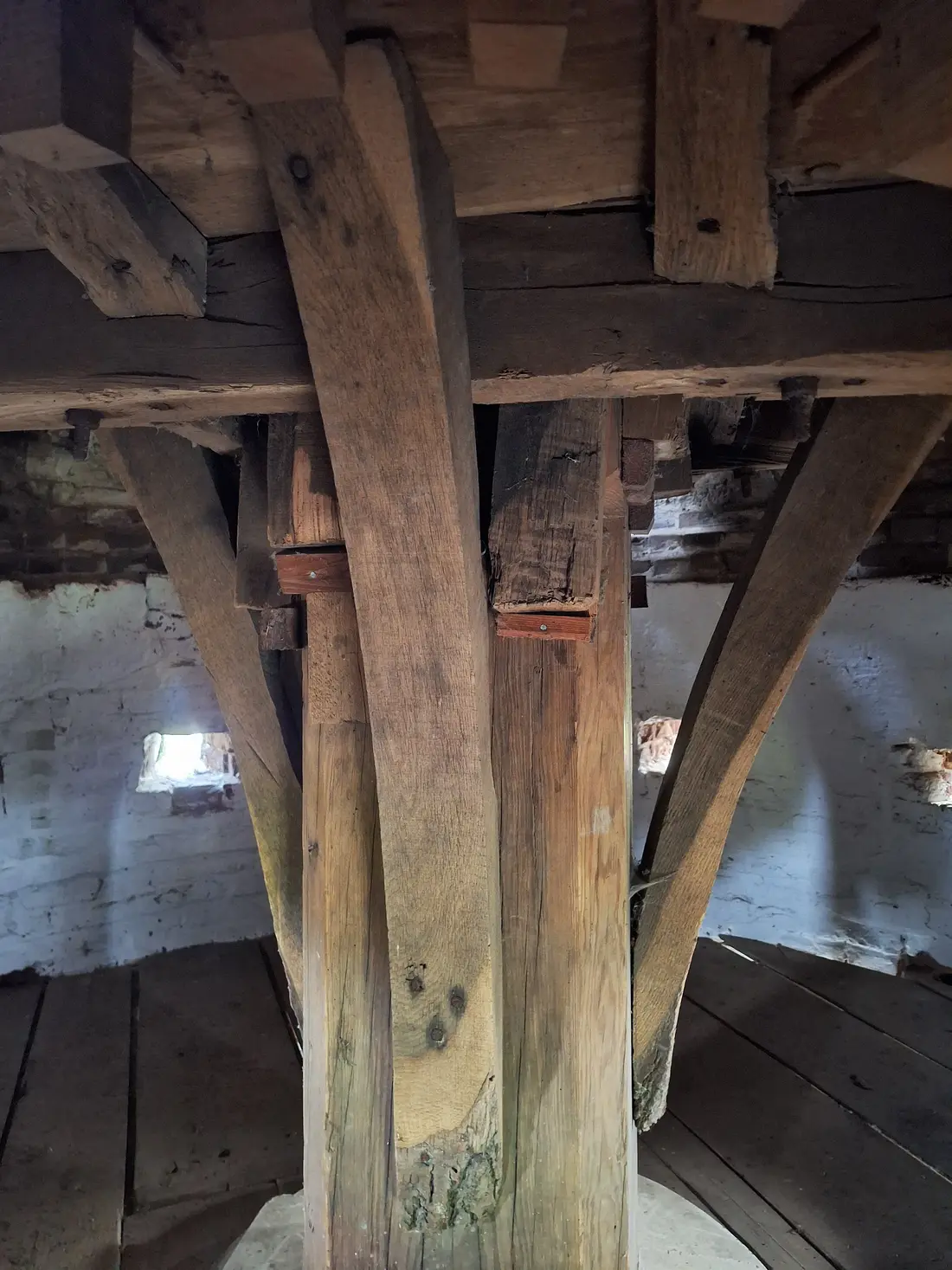 16, Molen 02787 De Welvaart (Horn), Jay Verkerk (05-10-2025)&nbsp; | Database Nederlandse molens