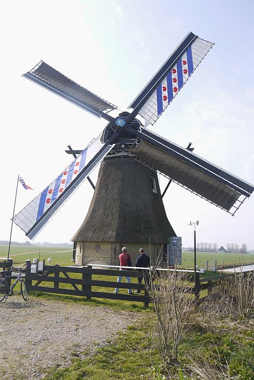 4, Molen 03004 De Poelen / De Puollen (Dronrijp / Dronryp), Matthieu Hoogduin (29-3-2014)De Puollen met Friese zeilen voor de Friese molenaarsdag. | Database Nederlandse molens